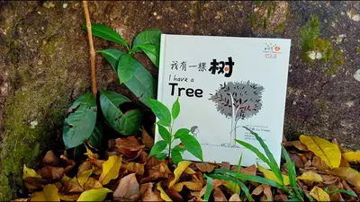 我有一棵气运树