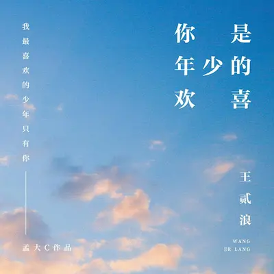 你是年少的欢喜