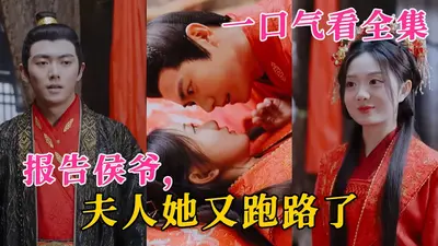 少主夫人她又跑了