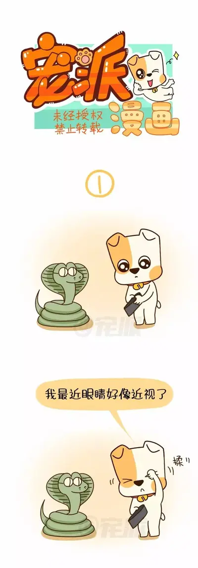 我真的不是穷人