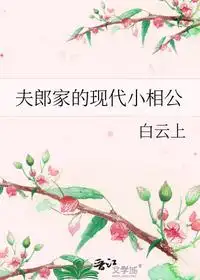 夫郎家的现代小相公