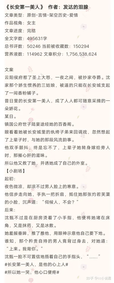 重生之最佳再婚