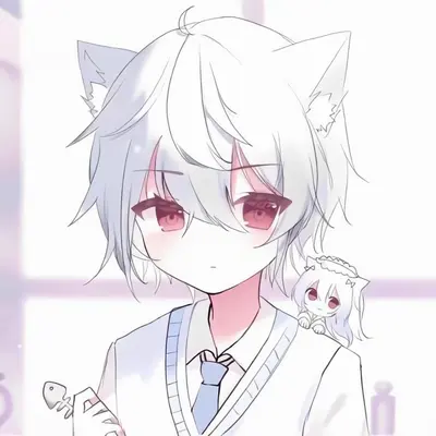 我在等风来也等你